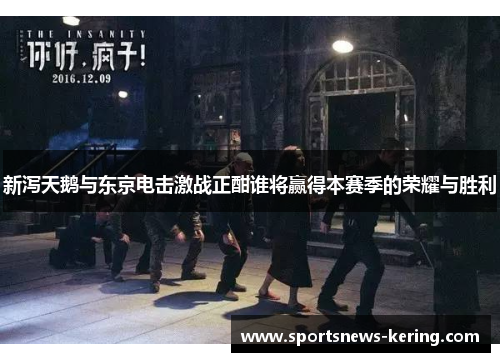 新泻天鹅与东京电击激战正酣谁将赢得本赛季的荣耀与胜利