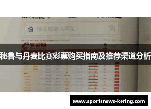 秘鲁与丹麦比赛彩票购买指南及推荐渠道分析